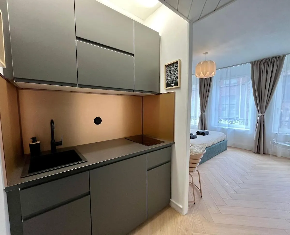 Premium Studio 300 M Grand-Place - Hyper Center Лилль
